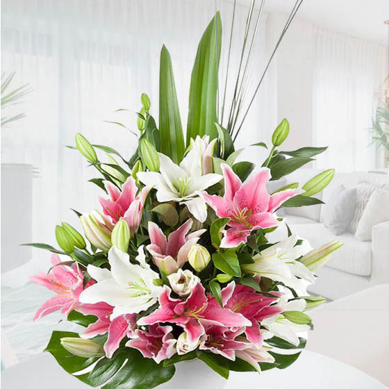 Centro Flores Sudáfrica