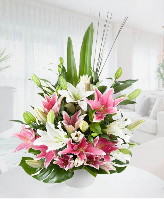 Centro Flores Sudáfrica