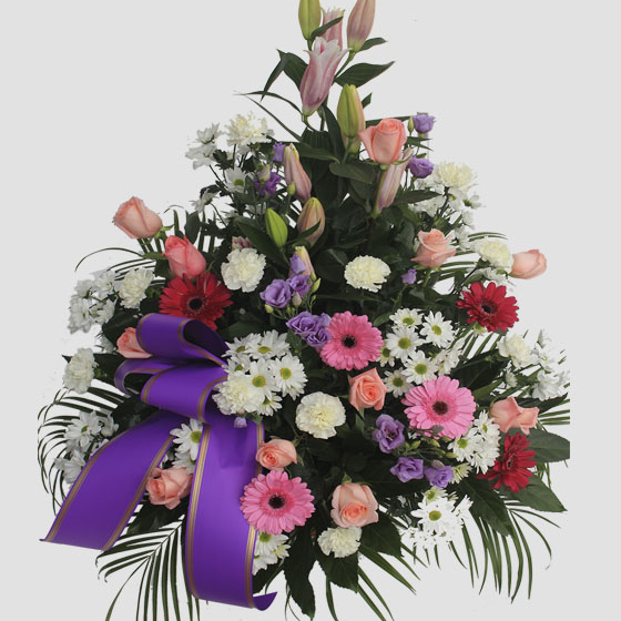 Centro Funerario Rosa