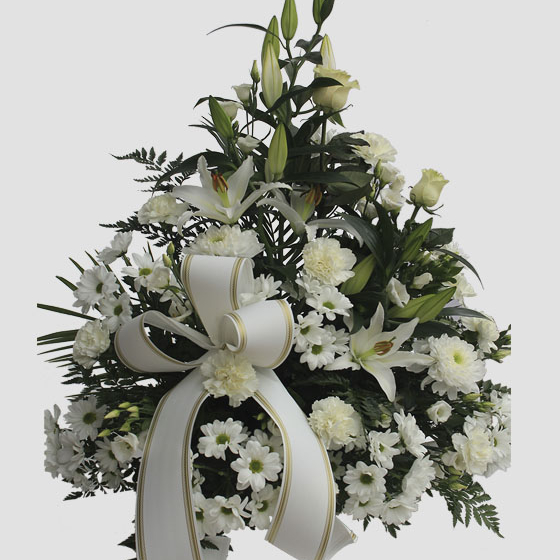Centro Funerario Extra Blanco