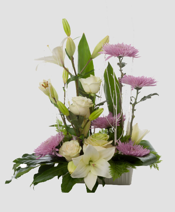 Centro Funerario Sencillo