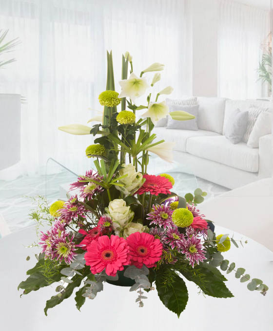 Centro Flores Túnez