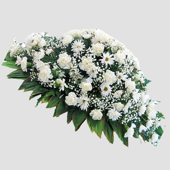 Palma Funeraria Pureza